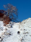 percorsi invernali d'amore percorsi invernali d'amore