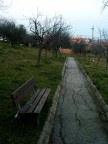 Una piccola stradina contornata da un giardino (Digimax 201)