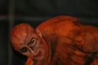 Quasimodo