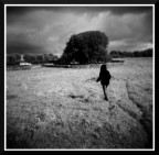 Holga Promenade Holga Promenade