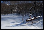 Sulla neve...#1 Sulla neve...#1