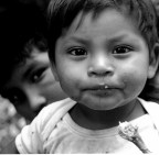 l'erede dei Maya l'erede dei Maya