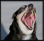 Panoramica Panoramica