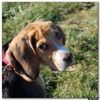 ...Che vuoi? ...Che vuoi?