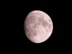 F 6,5 - ISO 75 - esposizione 1/30 sec
