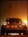 Mini in the Fog Mini in the Fog