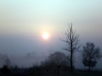 Nebbia nelle prime ore del mattino,paesaggio surreale