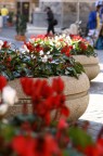 a Piazza di Spagna