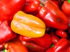 peperoni peperoni