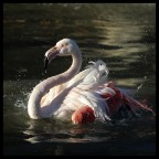 Washing time Washing time