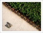 L'UOMO LA NATURA L'UOMO LA NATURA