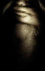 venere venere