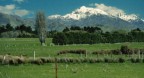 Catena muntuosa delle Southern Alpes in Nuova Zeland