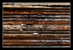 wood wood