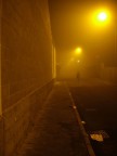 Randagia nella Nebbia Randagia nella Nebbia