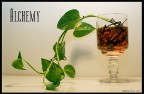 alchemy alchemy