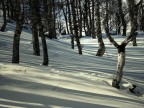 Luci, ombre e neve Luci, ombre e neve