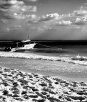 black&white beach black&white beach