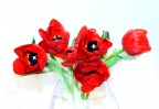 tulipani tulipani