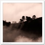 Silhouette b/n Silhouette b/n