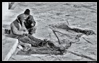 All'ombra dell'ultimo sole All'ombra dell'ultimo sole