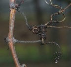 intreccio di vite intreccio di vite