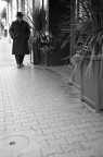 Per le vie del centro Per le vie del centro
