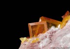 Wulfenite Wulfenite