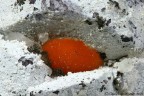 Ferrierite