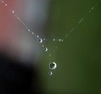 il triangolo... il triangolo...