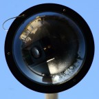 Big Brother's Iris Big Brother's Iris