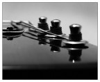::: MUSICA ::: ::: MUSICA :::