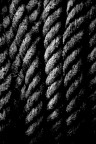 Texture Texture