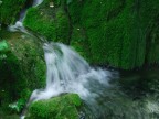 Foto scattata nel parco naturaledi Plitvice in Croazia. Fujifilm Finepix F700