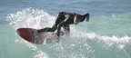 Surf 4 Surf 4