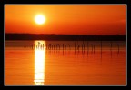 lago massaciuccoli 01 lago massaciuccoli 01