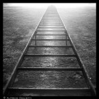 Verso il paradiso... Verso il paradiso...