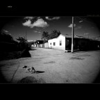 solo a Trinidad solo a Trinidad