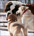 dai retta a papà... dai retta a papà...