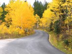 L'autunno... a volte... L'autunno... a volte...