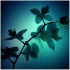 Steps to Love Steps to Love