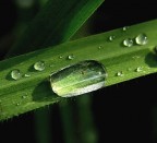 All'interno! All'interno!