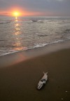 L'ultima spiaggia L'ultima spiaggia