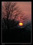 Tramonti