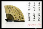 japanese fan japanese fan