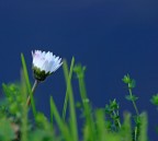 dal nulla...sul blu... dal nulla...sul blu...