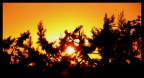 Tramonto Tramonto