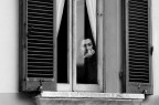 Alla finestra Alla finestra