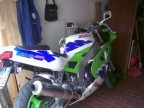 ninja zxr