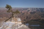 La neve nel Grand Canyon La neve nel Grand Canyon